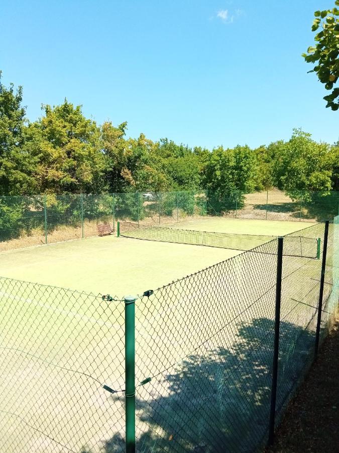 Castle House Rooms, Swimming Pool & Sauna & Tennis Court & Wine Cellar Sežana Kültér fotó